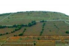 خلع‌ید ۱۱۱ هکتار از اراضی ملی از چنگال زمین‌خواران در کرمانشاه