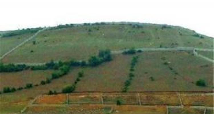 خلع‌ید ۱۱۱ هکتار از اراضی ملی از چنگال زمین‌خواران در کرمانشاه