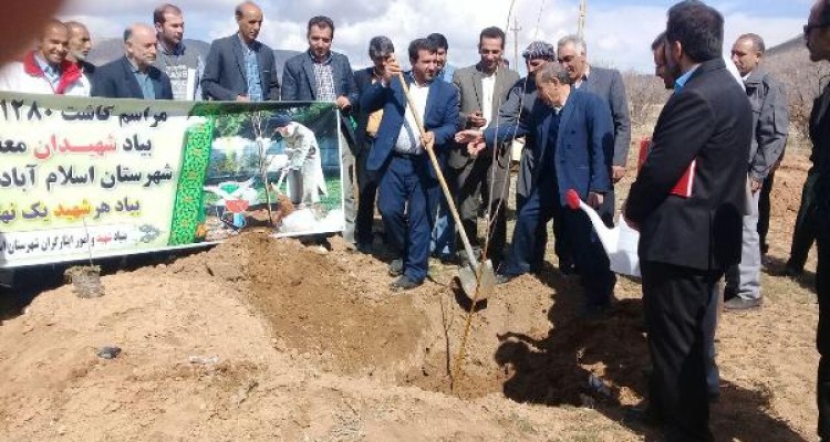 غرس بیش از یک هزار اصله نهال در اسلام آبادغرب+تصاویر