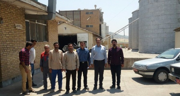 فعالیت 5 مرکز خرید گندم درشهرستان اسلام آبادغرب/هدف اصلی رضایت کشاورزان است