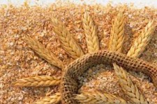 ریختن آب به آسیاب گرانی کارخانه‌های آرد + صوت 