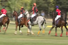 یک روز ورزشی و بانشاط برای خانواده‌ها + فیلم 