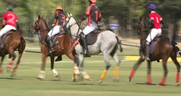 یک روز ورزشی و بانشاط برای خانواده‌ها + فیلم 