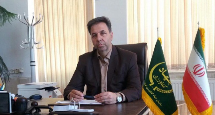 برداشت بیش از 30هزار تن سیب زمینی و ذرت علوفه ای در اسلام آبادغرب