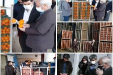 مردم نگران میوه شب عید نباشند/ ذخیره میوه شب عید به میزان کافی در اسلام آبادغرب