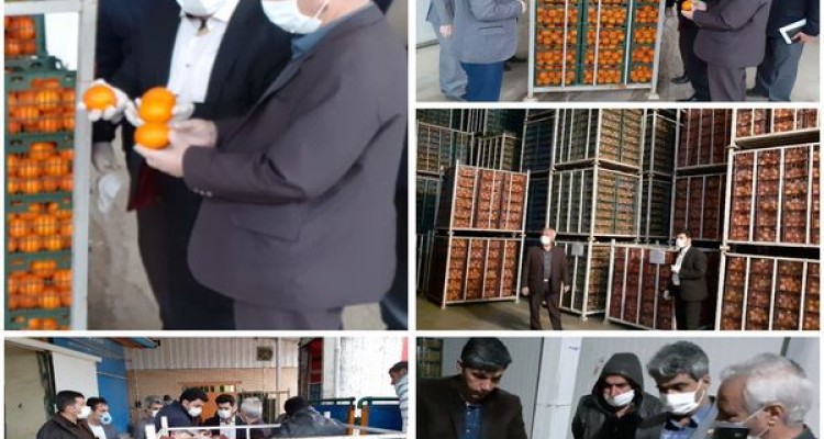 مردم نگران میوه شب عید نباشند/ ذخیره میوه شب عید به میزان کافی در اسلام آبادغرب