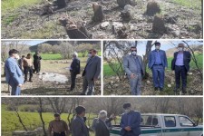 برخورد قاطع دستگاه قضایی با تخریب کنندگان و متصرفین منابع طبیعی در اسلام آبادغرب