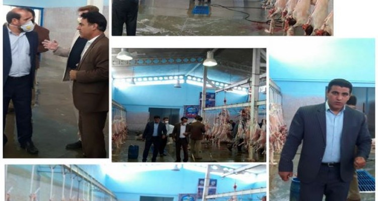 ارزیابی مطلوب وضعیت کشتارگاه دام اسلام آبادغرب