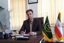  پیش بینی برداشت ۸۰  هزار تن گندم و ۹۰۰ تن کلزا از مزارع شهرستان اسلام آبادغرب