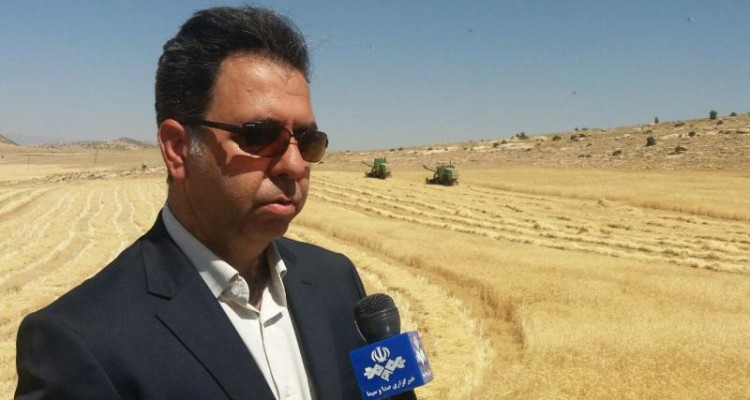 پیش‌بینی برداشت بیش از ۷۵ هزار تن گندم از مزارع اسلام آبادغرب/فعالیت ۱۷۰ دستگاه کمباین در شهرستان 