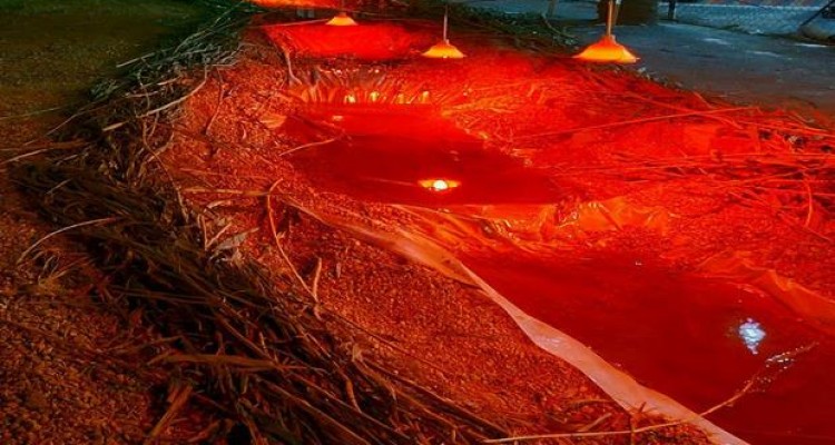 نمایشگاه از مدینه تا شام  ویژه دهه محرم در اسلام آبادغرب+تصاویر