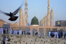 وحدت و محبت اهل بیت(ع) رمز پیروزی مسلمین بر استکبار جهانی/ علمای شیعه و اهل سنت باید بر اشتراکات تاکید کنند