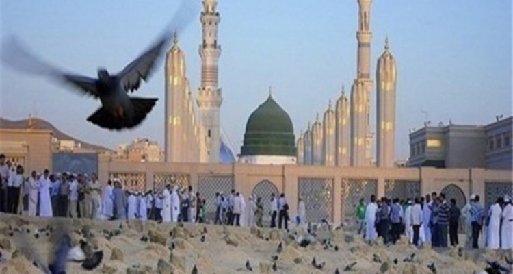 وحدت و محبت اهل بیت(ع) رمز پیروزی مسلمین بر استکبار جهانی/ علمای شیعه و اهل سنت باید بر اشتراکات تاکید کنند