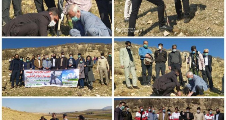 غرس ۵۰۰ اصله نهال در راستای تقدیر از مدافعان سلامت دراسلام آبادغرب+تصاویر