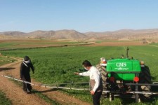 مشاوره های علمی و آموزش کشاورزان توسط بسیج مهندسین کشاورزی اسلام آبادغرب