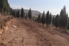 زمین‌خواری در شرکت کاشی کاژه رخ نداده است