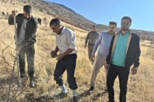 کاشت ۱۲۸۳ نهال بلوط در اسلام آبادغر