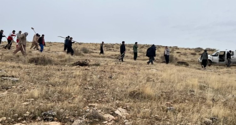 کاشت ۱۰۰۰ نهال بلوط به یاد شهدای اسلام‌آبادغرب