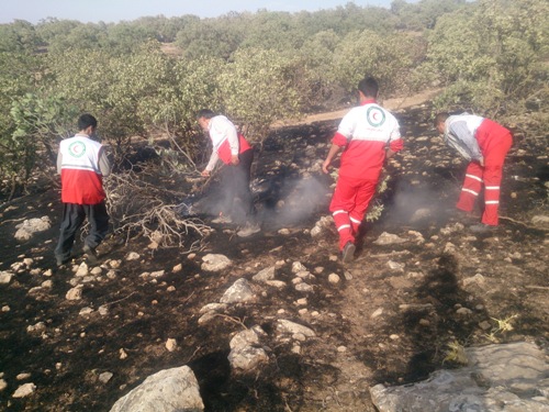 مهار آتش سوزی مراتع توسط نیروهای امدادی جمعیت هلال احمر اسلام آباد غرب 