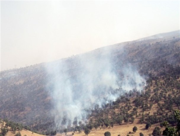 مهار آتش سوزی جنگل های حدفاصل اسلام آبادغرب- ایلام-گیلانغرب