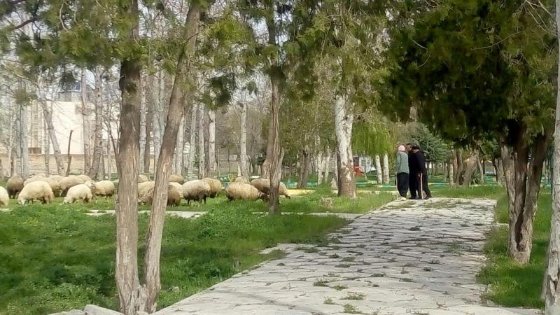 تكرار اشتباهات و فرصت هاي از دست رفته 