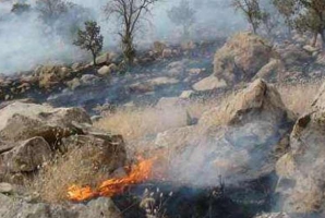 منطقه "ملیه نه" در گیلانغرب دچار آتش سوزی شد+ تصاویر