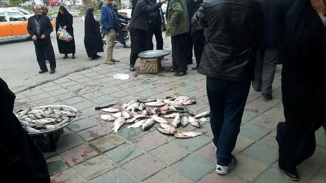دستفروش خودش در واکنش به تذکر ماموران سد معبر ماهی ها را به زمین ریخته 
