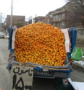 معظل این روزهای کوچه پس کوچه های اسلام آبادغرب !