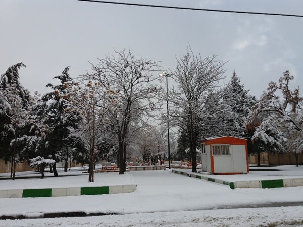 بارش برف بازهم اسلام آبادغرب را سفیدپوش کرد+ تصاویر بارش برف بازهم اسلام آبادغرب را سفیدپوش کرد+ تصاویر