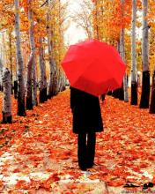 ساده بگویم کم آورده ام