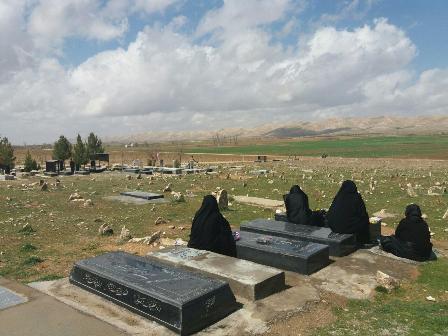 چه خوبه تا وقتی زنده ایم قدر همدیگر را بدانیم... چه خوبه تا وقتی زنده ایم قدر همدیگر را بدانیم...