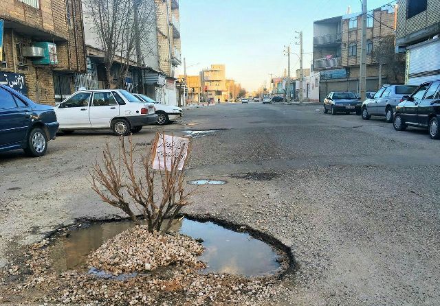 کاشت درخت در وسط خیابان در اعتراض به عملکرد شهرداری و شورای شهر اسلام آبادغرب