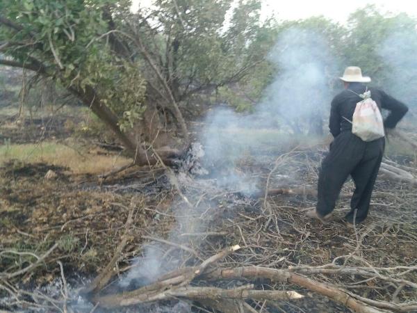 جزئیات آتش سوزی ارتفاعات جنگلی روستای باندر علیا در اسلام آبادغرب/مهار حریق با کمک نیروهای مردمی+تصاویر