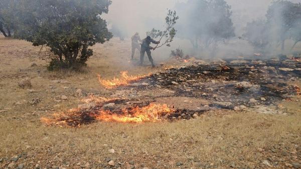 مهار آتش سوزی جنگل های جنوبی اسلام آبادغرب در کمتر از 2 ساعت+تصاویر