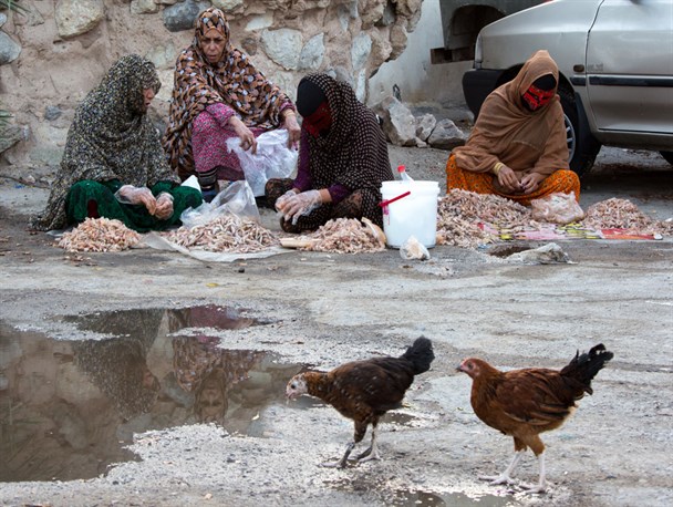 بازار داغ صید و فروش میگو در بندرعباس+تصاویر بازار داغ صید و فروش میگو در بندرعباس+تصاویر