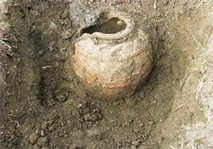 کشف چند خمره قدیمی توسط شهرداری مشهد، موضوع داغ خبرگزاری‌ها + صوت 