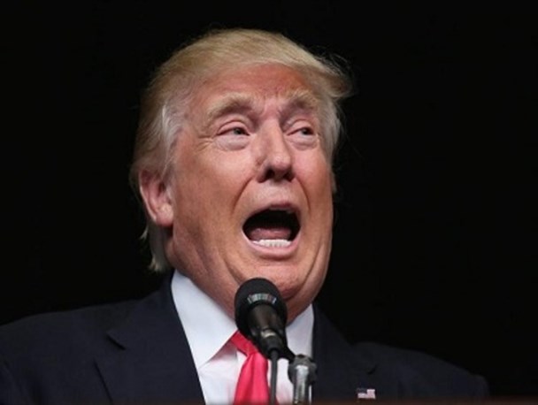 گربه رقصانی های یک دیوانه