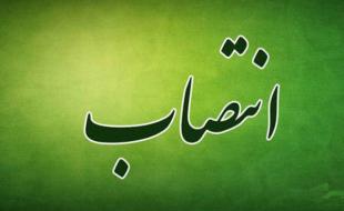 مدیر امور بهره وری و نوآوری علوم پزشکی کرمانشاه منصوب شد