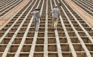 تجارت مُدرن در چند قدمی مردگان!