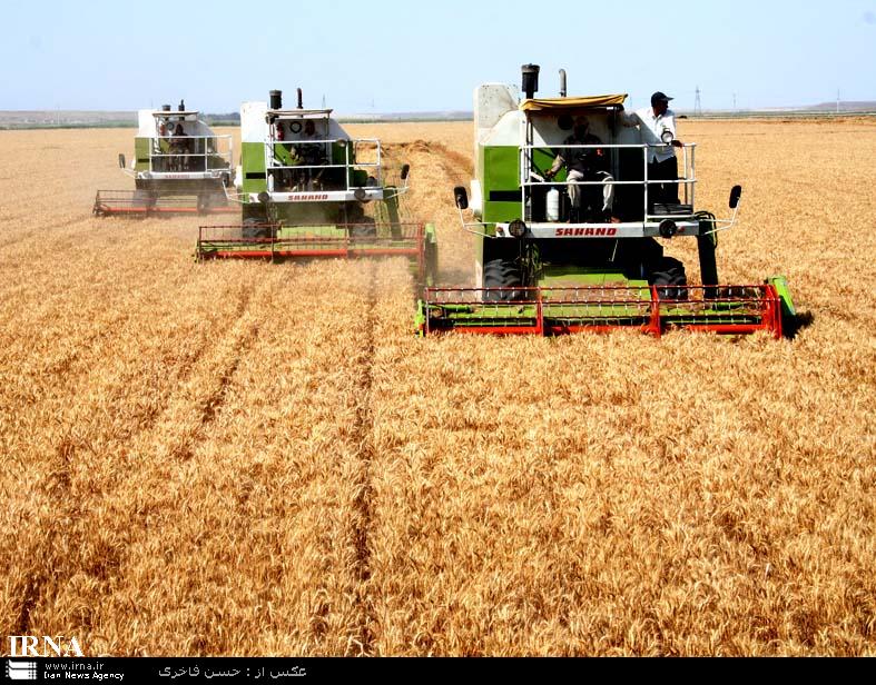  کشاورزی محور توسعه پایدار کرمانشاه