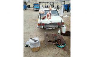 برخورد با کشتار غیرمجاز دام در بازارهای سطح شهر کرمانشاه