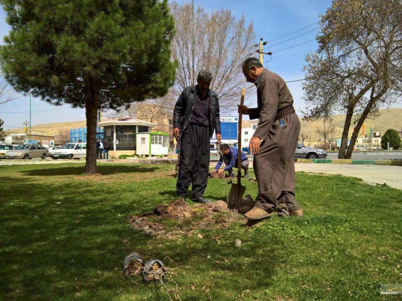 فعالیتهای انجمن سبز زاگراس در شهر اسلام آباد غرب