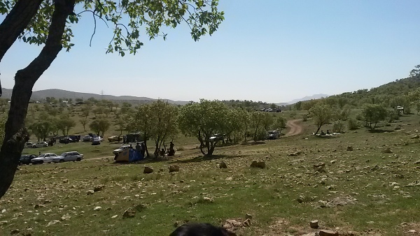 طبیعت بهاری اسلام آبادغرب +تصاویر