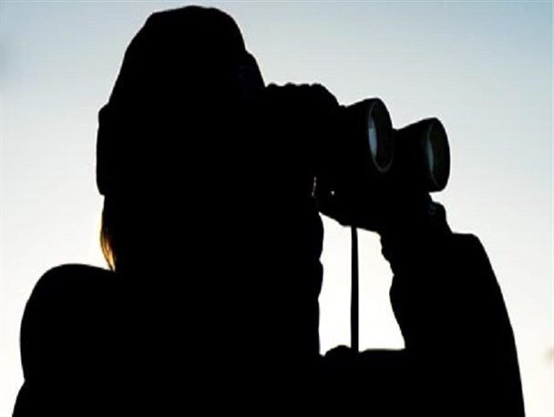 کاوه مدنی معاون یا معاند؟ + سند