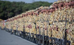 اجرای مرخصیها و معافیتهای سربازان نقاط زلزلهزده غرب کشور اجرای مرخصیها و معافیتهای سربازان نقاط زلزلهزده غرب کشور