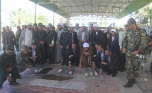 میهمانی لاله ها در گلزار شهدای شهرستان سرپلذهاب + تصاویر