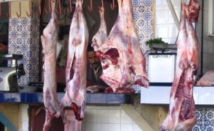 قصابی های حمیل ساماندهی می شوند قصابی های حمیل ساماندهی می شوند