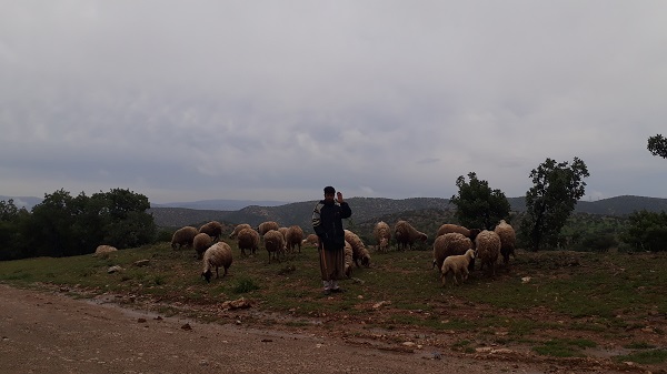 تصاویری زیبا ازطبیعت بهاری اسلام آباد غرب پس از بارش های کم سابقه رحمت الهی