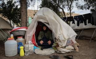 احتمال اپیدمی «سالک» در مناطق زلزله زده کرمانشاه