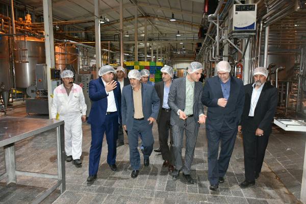 لزوم حمایت عملی دولت از تولید کنندگان محلی برای رسیدن به توان اولیه اشتغال و تولید